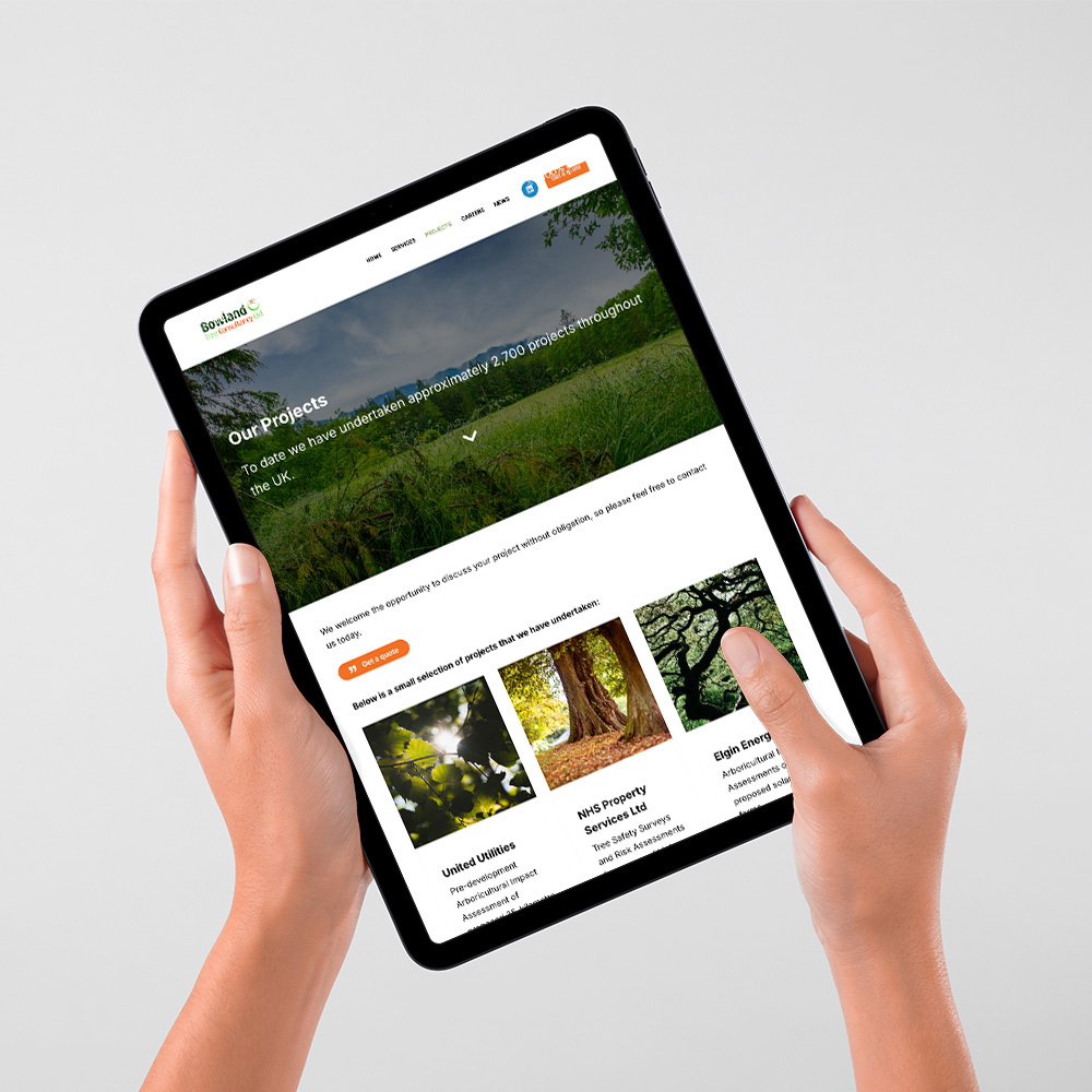 bowland tree consultancy